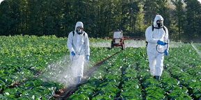 Pesticides