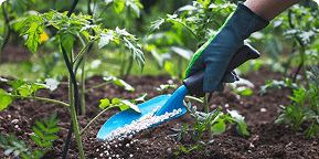 Fertilizers